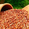 Red Rice of Dhamapur-Kalse