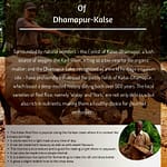 Red Rice of Dhamapur-Kalse - Image 2